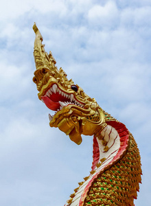 popeiorum) 在森林泰国坐落在市中心那空拍侬,泰国湄公河河边的七头蛇