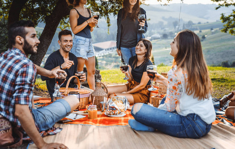 的朋友,在乡下的一个烧烤聚会上,在户外野餐,人们一边玩,一边庆祝照片