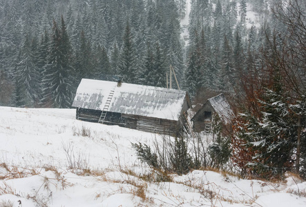 清晨冬季山村景观jablunytsia村喀尔巴阡山乌克兰。 阴天，刮风，有暴风雪。