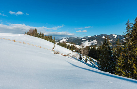 冬天的早晨，风景如画的山顶，山顶上覆盖着农场的积雪和一些枯萎的防风树乌克兰喀尔巴阡山脉，宁静，宁静，德森布罗尼亚村，农村郊区