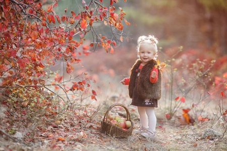 孩子们在秋天摘苹果。小女孩在苹果树果园里玩。孩子们在篮子里摘水果。秋天收获时，孩子们吃水果。孩子们的户外乐趣。 在秋天的花园里，