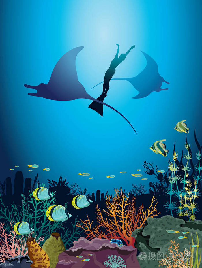 海洋生物矢量插图. 水下自然图像.