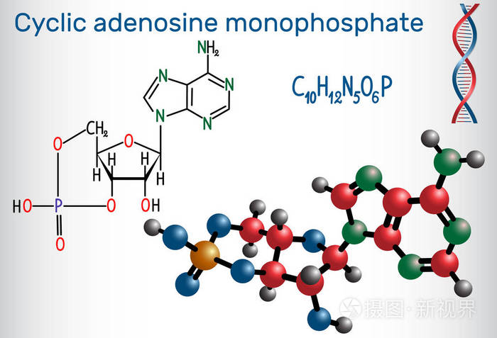 结构化学公式和分子模型. 矢量插图