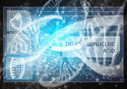 媒体医学背景图像作为DNA研究的概念。 3D渲染