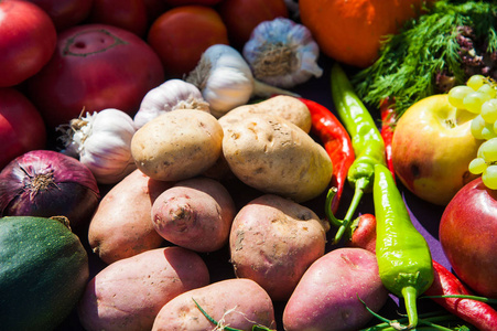 新鲜蔬菜收获大自然户外。 新鲜蔬菜和水果的背景