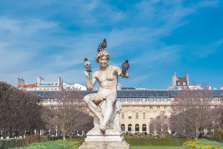 巴黎花园帕莱皇家公共花园鸟放在雕像