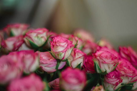可爱美丽的粉红色玫瑰花束