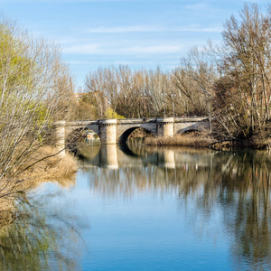 西班牙帕伦西亚卡斯蒂利亚和里昂克里昂河上的中世纪石桥