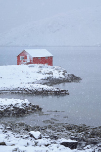 冬季红色弗洛罗房子, 挪威, 罗弗敦群岛