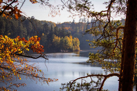 秋天的五颜六色的树在达姆里莫夫与水反射通过分支捷克景观
