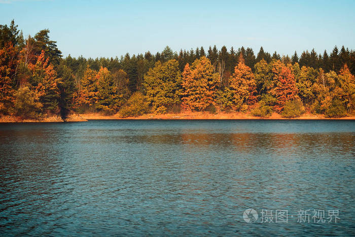 秋天的树叶，带有水，捷克景观