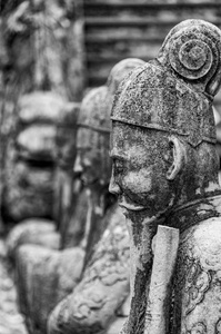 帝国色调越南的雕像图片