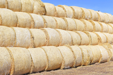 稻草包裹地上储存的稻草捆照片