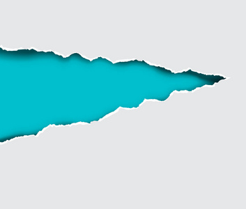 一张撕烂的纸. 矢量图.照片