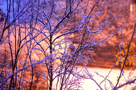 冬天的傍晚, 被雪覆盖的早午餐