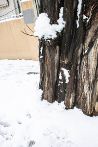 户外积雪隔离背景图片