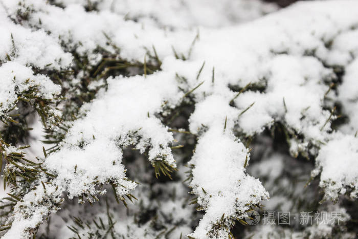 户外积雪隔离背景