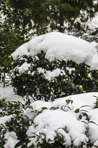 户外积雪隔离背景