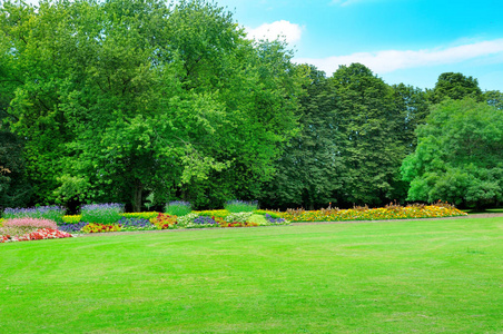 夏季公园有美丽的花坛和草地。