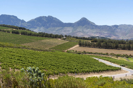 南非西角萨默塞特的Waterkloof葡萄酒庄园。 一张温泉山的风景。