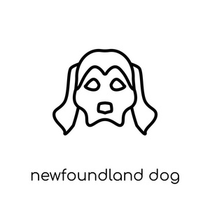纽芬兰狗图标。 时尚现代平面线性矢量纽芬兰狗图标白色背景从细线狗收集可编辑轮廓笔画矢量插图。