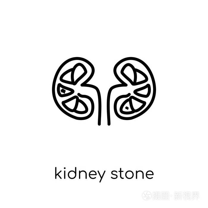 肾结石疾病图标时尚现代平面线性矢量肾结石图标白色背景从细线疾病