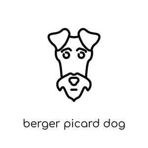 伯杰皮卡德狗图标。 时尚现代平面线性矢量BergerPicard狗图标白色背景从细线狗收集可编辑轮廓笔画矢量插图。