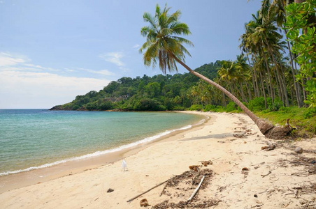 泰国特拉特省热带高昌岛上的热带景观，有荒芜的琥珀沙滩椰子棕榈树和绿松石热带海