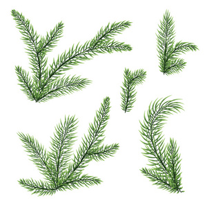 一套冷杉树枝。圣诞节，新年寒假自然绿色符号为您的海报，邀请卡，横幅设计松，冬天。孤立矢量插图。