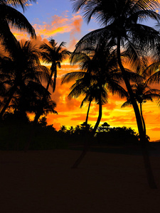 新加坡圣淘沙热带海滩，日落时有椰子树