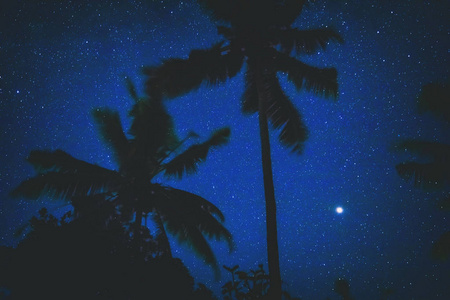 椰子树的剪影与南半球银河系的恒星和火星在左下角的图像。我的天文学工作。