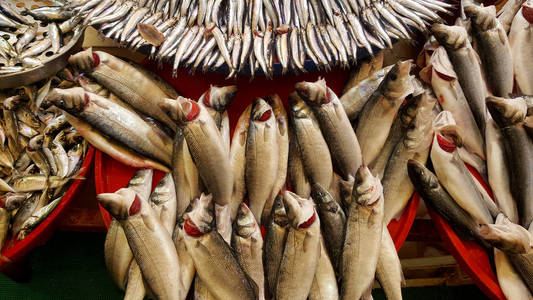 各种生鱼海鲜在食品市场的容器中。