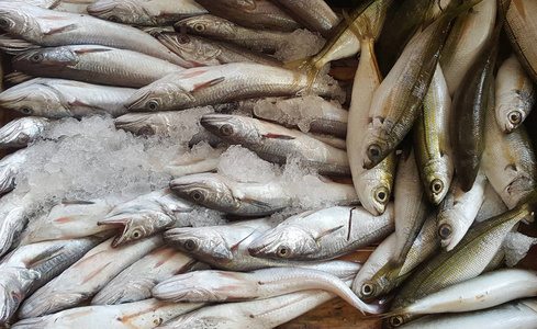 生冷海鲜生冷鱼的食物背景.照片