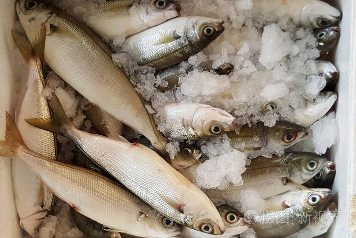 市场上货柜中的生冷鱼