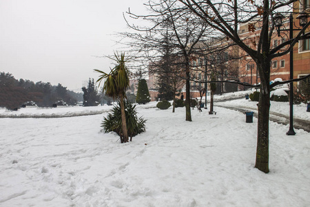 户外积雪隔离背景