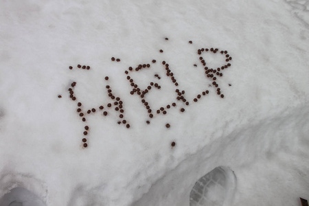 在户外下雪时的单词帮助