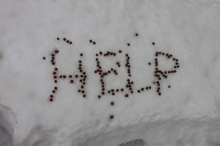在户外下雪时的单词帮助