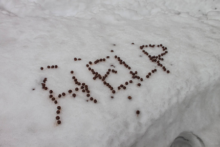 在户外下雪时的单词帮助