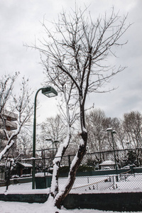 户外积雪隔离背景