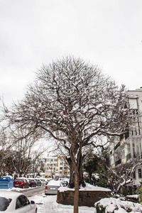 户外积雪隔离背景