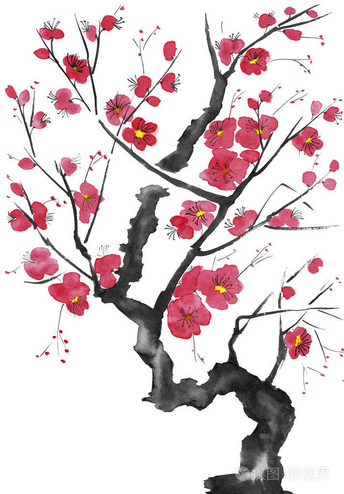 一棵开花的树的树枝. 粉红色和红色的风格花梅野生杏和樱花.