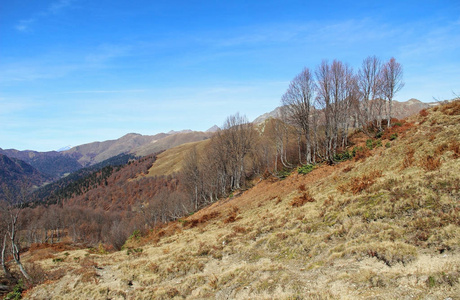 带有黄色秋山和山脉的全景。 这张照片是在阿布哈兹共和国七湖谷拍摄的。