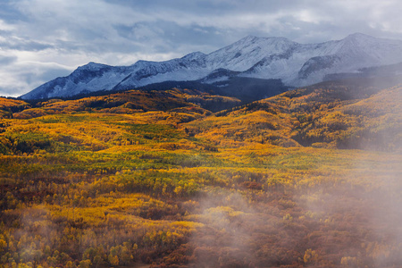 美国科罗拉多州五颜六色的黄色秋天。 秋季。