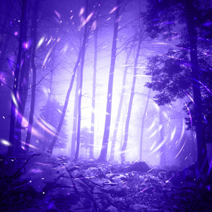 奔流的深紫红色幻想深紫紫色雾状森林景观场景与神秘的旋转效果萤火虫