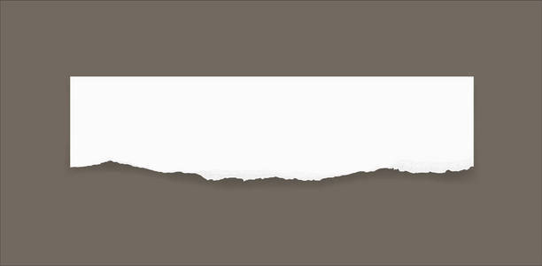 撕裂纸纹理背景与面积的复制空间. 矢量图.照片
