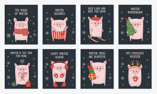 明信片收藏。 新的2019年海报与可爱的猪和冬季口号。 中国日历上一年的象征。 矢量卡通孤立插图。 黄猪年。