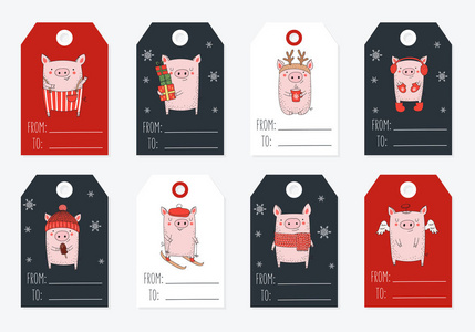 标签收集。 新的2019年海报与可爱的猪和冬季口号。 中国日历上一年的象征。 矢量卡通孤立插图。 黄猪年。
