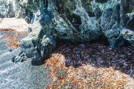 海洋和岩石隔离背景