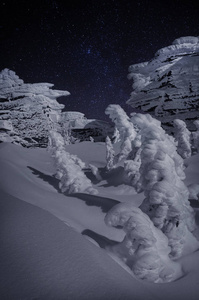 夜间警卫保卫和平。 冬季景观