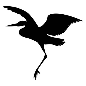 白鹭剪影图片